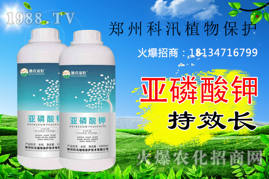 ������⛹�Ч�������C(j��)������Щ������������õĺ������