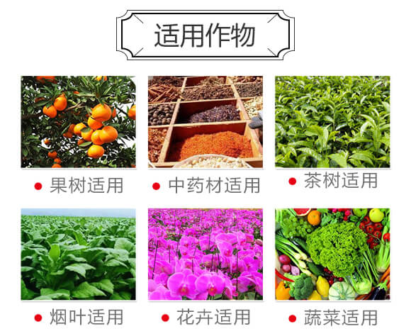 免耕復(fù)合肥15-10-15-唯沃-雅光農(nóng)業(yè)_04