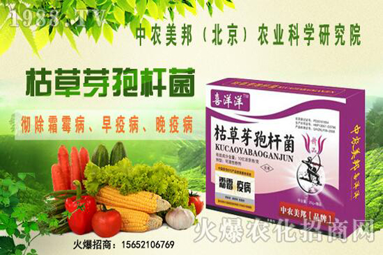 �ݲ�ѿ�ߗU���θ���������������Щ�������������Ό�(du��)������Щ��