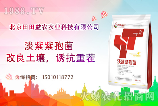 ���t��������c����Щ�����t���ļ���ι�����