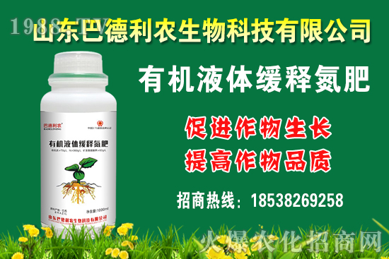 ���������Xһ�����Nֲǰ����������Nֲ�ɱ�������������