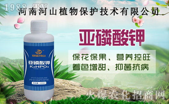 С�����߼Ӵa�������u�Z��2020��8��14��С���r�����飡