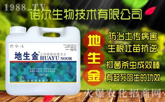 �S���˷N����ô�ɼ����S���˷N��r������Xһ�ꣿ