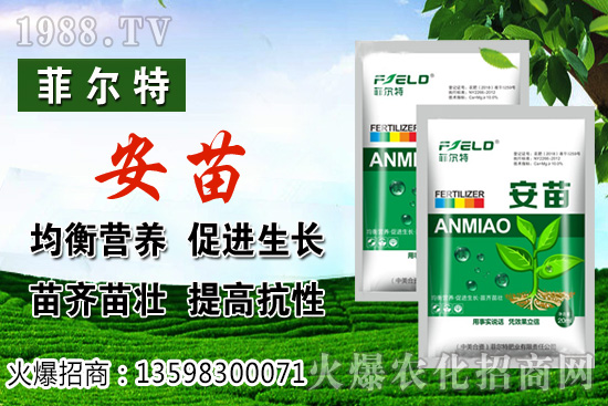 燈籠果生長(zhǎng)對(duì)環(huán)境的要求,燈籠果種植及采收技術(shù)!