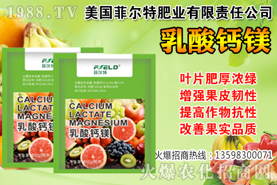 ���Ѳ��պ���α��r�����Ѳ��պ���@ע�������