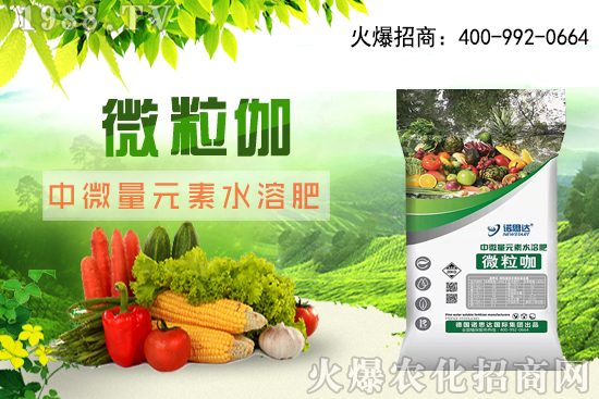 ����ԓ��ô���磬��������r(sh��)�g������ע��Ҫ�c(di��n)��