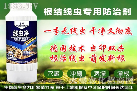 �������״���ʲô���ã��������״���������x����