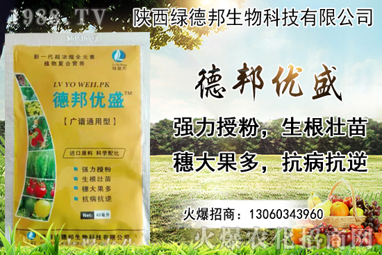 �����r������Xһ���������Nֲ�ĭh(hu��n)�������x������