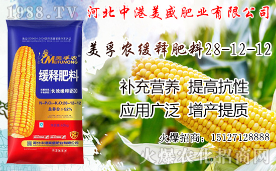 �O���������������ô�������O�������ڼ���ժ�������