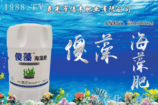 �Ј�(ch��ng)�𲽻ؚw���������棬�󶹃r(ji��)��_�߻�����