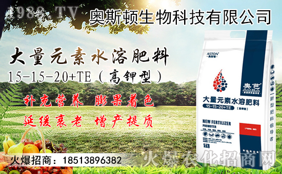 С���r���������ϝq���٣���������С���r��