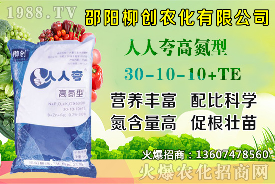 ���y��������ô�N�����y������Nֲ���g�����g������