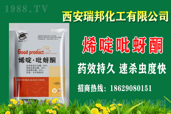     2021��1��20�մ󶹚��x���r(ji��)������