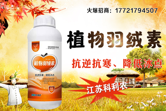 �����׷Nֲ�ܶ���ΰ��գ�������ʩ�ʼ��к��ڹ�����