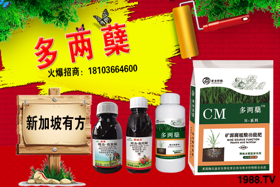 2021�����ַNֲǰ������������ֺ���ͨ�����к΅^(q��)�e��