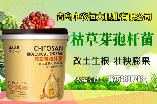 枯草芽孢桿菌真的是“菌中”嗎?枯草芽孢桿菌具體作用你了解嗎?