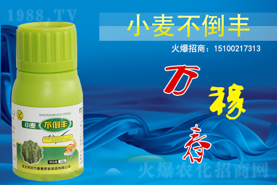 С��������ô����߀������С�������S!