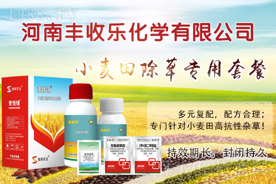 С�������ӳ��ݸ���ԓ��ô�x�ó��݄���