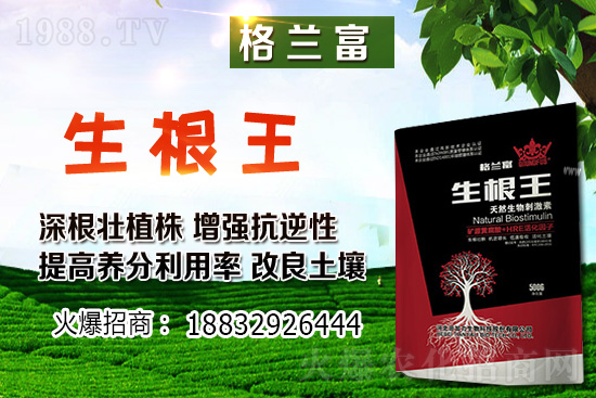 2021��3��1�Ֆ|���󶹃r(ji��)���λ��(w��n)��