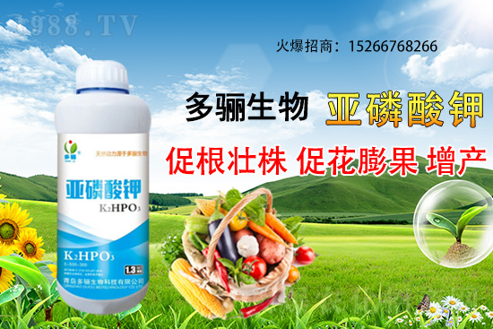 3�·��m�ϷNֲʲôˎ������Щˎ�ķNֲǰ������ٍ�X