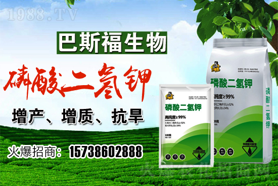 С���r(ji��)��F(xi��n)�ڶ����Xһ�������������߄�(sh��)��Σ�