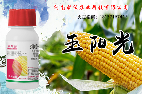 ���׳��ݞ�ʲô�x����������������݄���δ���