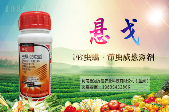 2021��5��13�՚��x���r(ji��)���Ӎ