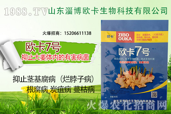 �W�������ٺ�1988.TV������(sh��)�F(xi��n)��I(y��)�v�w��(m��ng)��