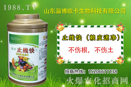 �W�������ٺ�1988.TV������(sh��)�F(xi��n)��I(y��)�v�w��(m��ng)��