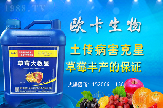 �W�������ٺ�1988.TV������(sh��)�F(xi��n)��I(y��)�v�w��(m��ng)��