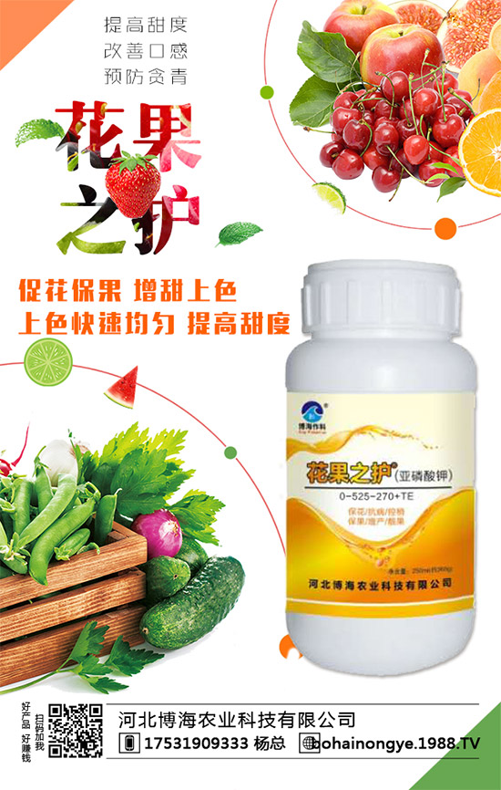 �����r(n��ng)���ٴ����v���r(n��ng)�����̾W(w��ng)����(sh��)�F(xi��n)��I(y��)�°l(f��)չ��