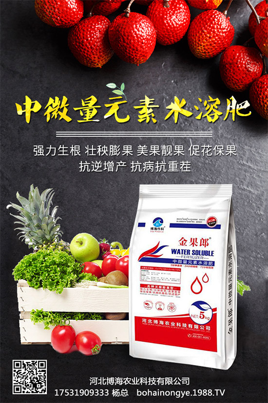 �����r(n��ng)���ٴ����v���r(n��ng)�����̾W(w��ng)����(sh��)�F(xi��n)��I(y��)�°l(f��)չ��