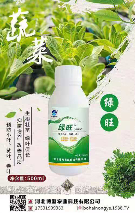 �����r(n��ng)���ٴ����v���r(n��ng)�����̾W(w��ng)����(sh��)�F(xi��n)��I(y��)�°l(f��)չ��