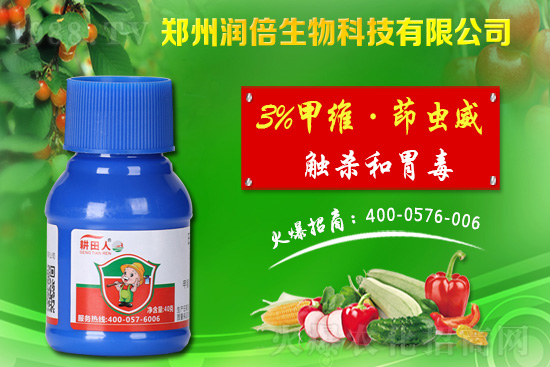 【注意】中晚稻病蟲害發(fā)生趨勢預報