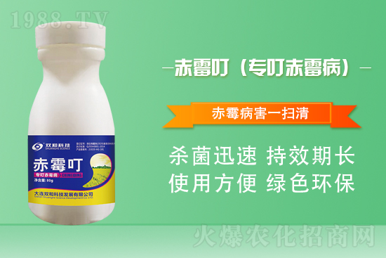 ���������������B�p�ͿƼ��ٺ�1988.TV������(chu��ng)���x����