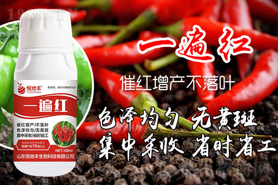 �����߼t��ʩ��ô�������������ǰ���У������߼tˎʲô�r������