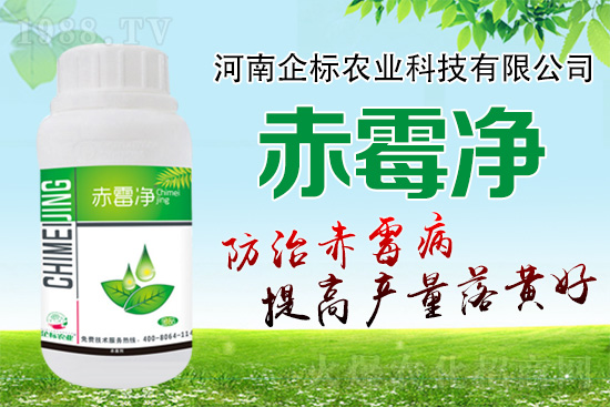 �o�����ѣ�δ��ʮ����С����ù�������P(gu��n)�I������(w��)��ץ����