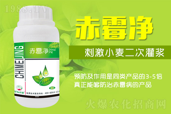 �o�����ѣ�δ��ʮ����С����ù�������P(gu��n)�I������(w��)��ץס��