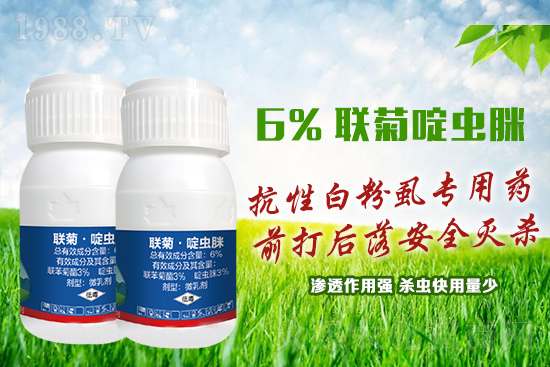 ���԰׷�ʭ�y�����y�Σ��@����ˎ�x���p�������x��