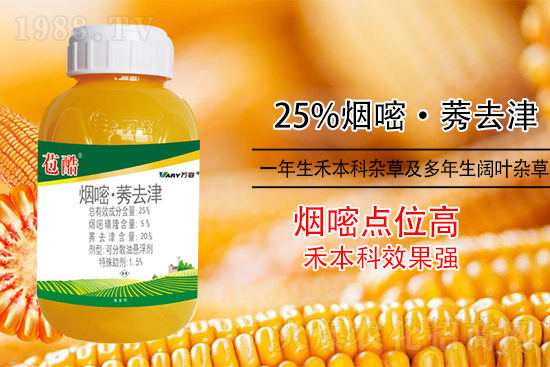 ���׳������e���@�׷N���݄���