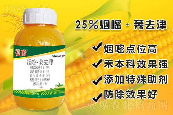 ���׳������e���@�׷N���݄���