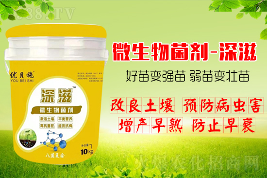 作物如何爆發(fā)式生根呢?生根養(yǎng)根方案快來(lái)看!