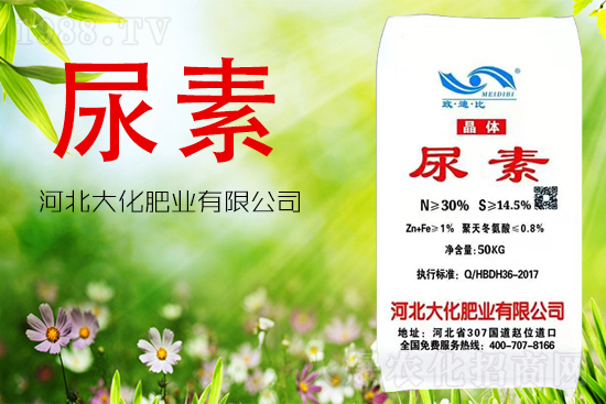 ���ص����ܲ������~�������ô����