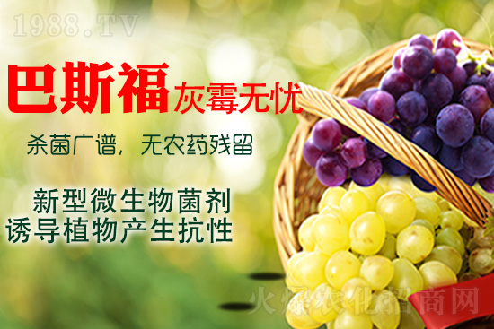 ���ѻ�ù��ԓ��ν�Q����ù����ˎ���h��