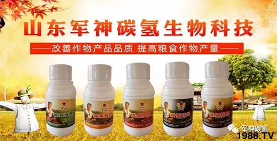 ɽ�|܊��̼?x��)�����Ƽ����޹��?