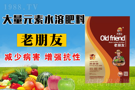 ��(ji��)ˮ�r(n��ng)�I(y��)���s1988.TV���y�ֹ���(chu��ng)����������