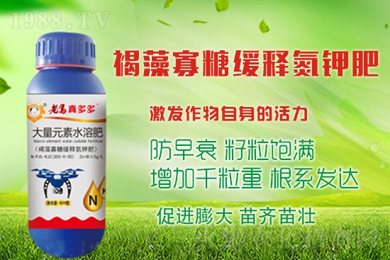 ����߮a����������^����ʩ����Щ�����ʩ��