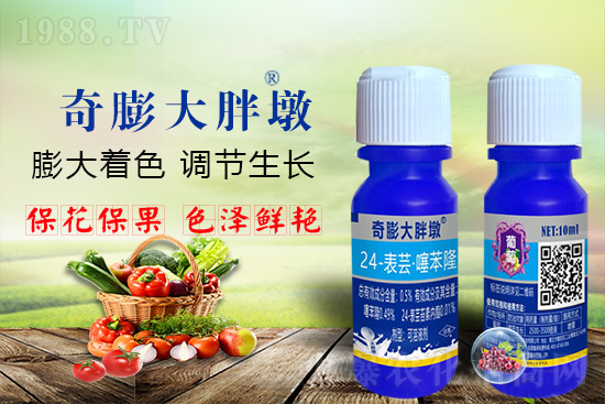     ������Ҫ�߮a(ch��n)��������P(gu��n)�I��������(sh��)���졢�D(zhu��n)ɫ�����u��ѣ����ڵĮa(ch��n)����Ʒ�|(zh��)�����������S��Ĺ��r(n��ng)���r(n��ng)������ӳ�Լҵ���������ס���������������������������������ܛ���չ�����r�l���l(f��)����