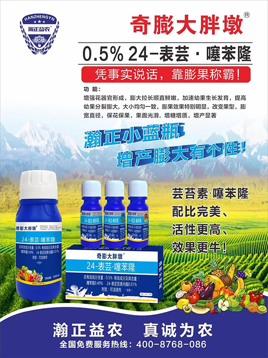     ������Ҫ�߮a(ch��n)��������P(gu��n)�I��������(sh��)�������D(zhu��n)ɫ�����u��������ڵĮa(ch��n)����Ʒ�|(zh��)���С������S��Ĺ��r(n��ng)���r(n��ng)������ӳ�Լҵ���������ס���������������������������������ܛ���չ�����r�l���l(f��)����