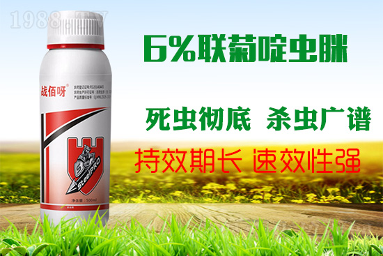 �������x���l(f��)�l��������ע����ǰ�������ׂ�(g��)��(du��)���p�ɸ㶨��